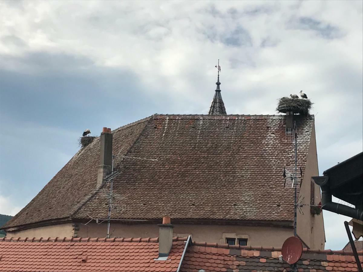 Gîte Smart'In Eguisheim Extérieur photo